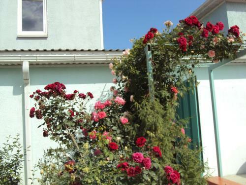 Hostal Guest House V Dolinie Roz