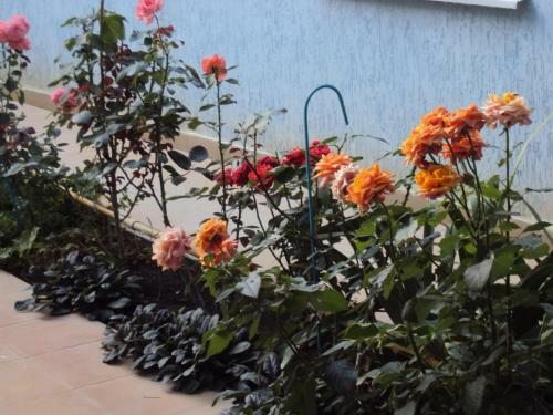 Hostal Guest House V Dolinie Roz