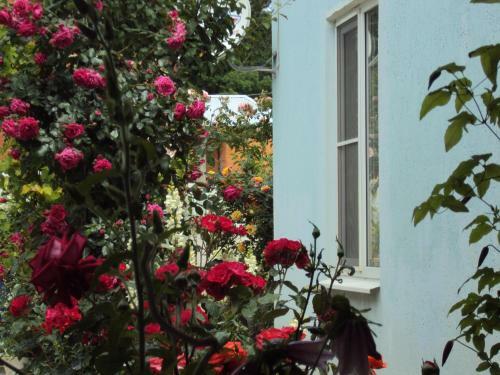 Hostal Guest House V Dolinie Roz