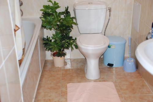 Hostal Guest House Panorama