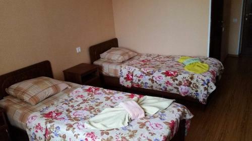 Hostal Natela Guest House