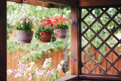 Hostal Gornitsa Guest House