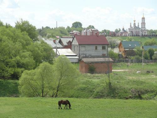 Hostal Suzdal-terem Guest House