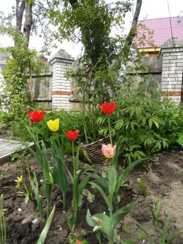 Hostal Suzdal-terem Guest House
