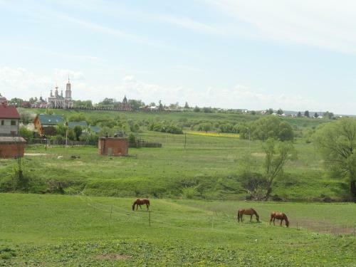 Hostal Suzdal-terem Guest House