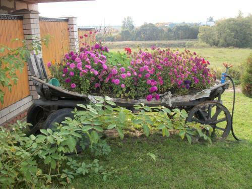Hostal Suzdal-terem Guest House