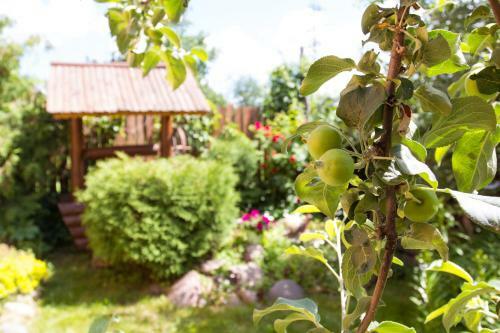 Hostal Suzdal-terem Guest House
