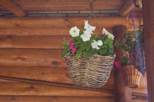 Hostal Suzdal-terem Guest House