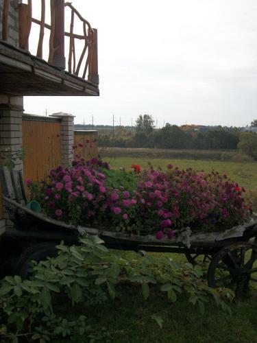 Hostal Suzdal-terem Guest House
