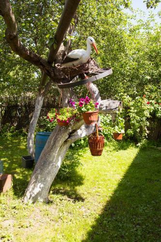 Hostal Suzdal-terem Guest House