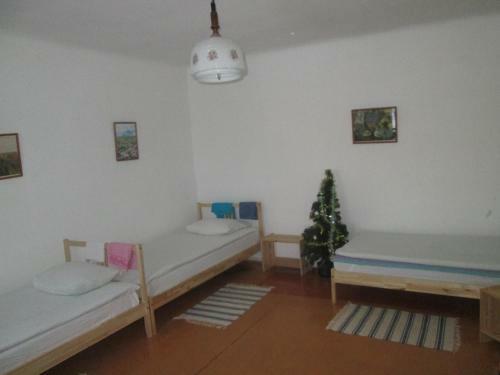 Apartamento Krasnaya Ploschad