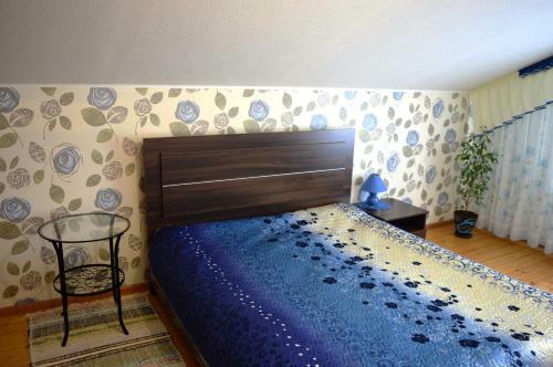 Hostal Viktoria Guest House