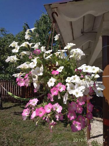 Hostal Guest House Usadba Surikova
