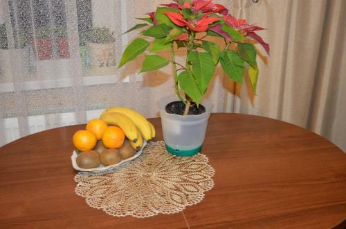 Hostal Guest House Vitalnica