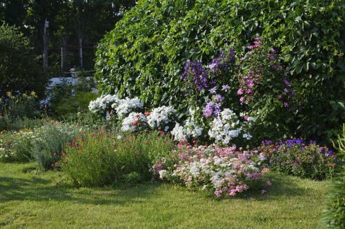 Hostal Guest House Lybimtsevoy