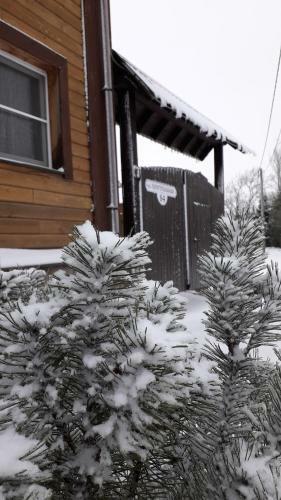 Hostal Guest House Suzdalskiy Dvorik