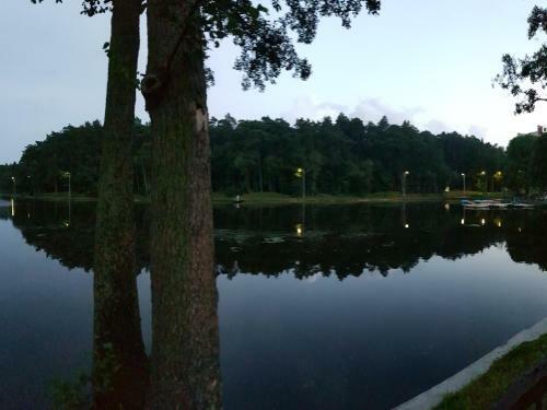 Apartments Lake City