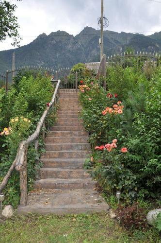 Posada Guest House Phoenix