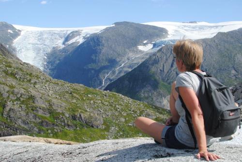 Stardalen Hyttegrend