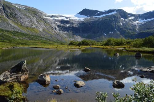 Stardalen Hyttegrend
