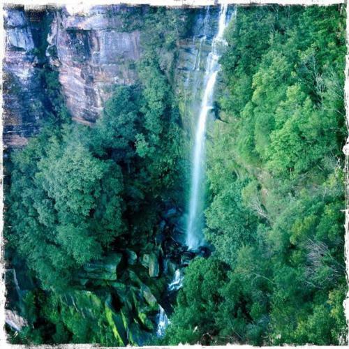 Hostal Twin Falls Bush Cottages