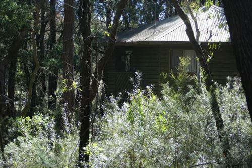 Hostal Twin Falls Bush Cottages