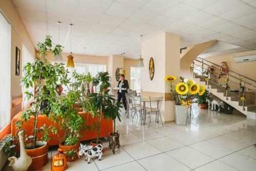 Hotel Senoval