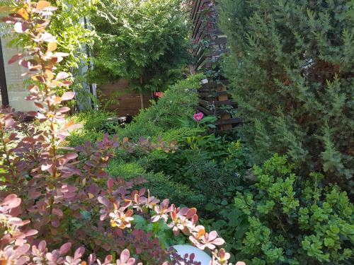 Hostal L'house Taganrog