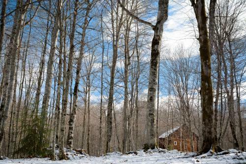Lodge Baza Otdykha Blagodat