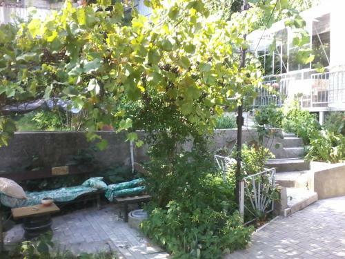 Hostal Guesthouse Kalarasha
