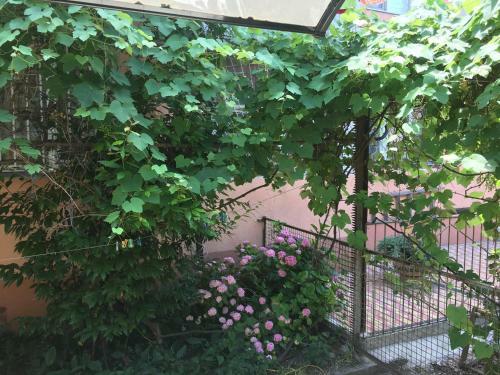 Apartamento Kvartira