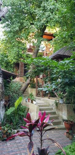 Hotel Leto