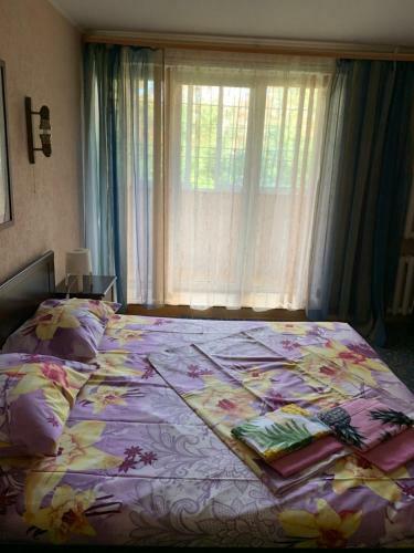 Apartment Gogolevskaya