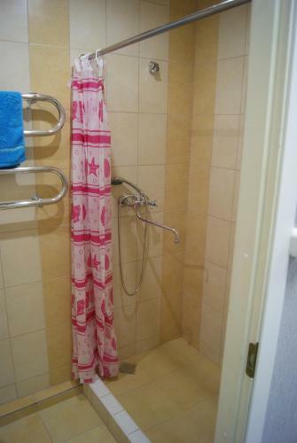 Hostel Vybor