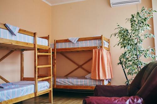 Hostel "mig"