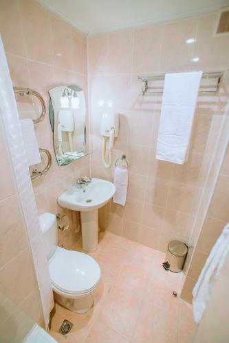Hotel Venets