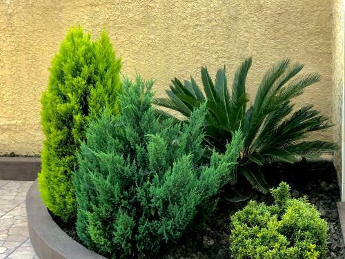 Hostal Gostievoi Dom U Sati