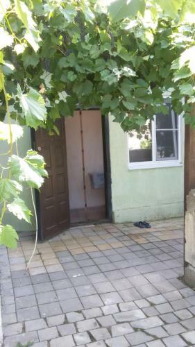 Hostal Rodnik Guest House