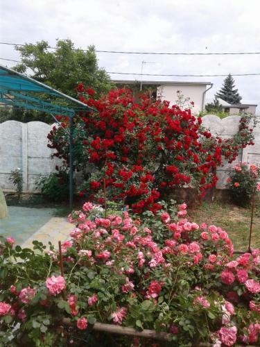 Holiday Home Vityazevo