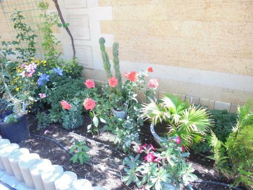 Hostal Guest House Sakhalin
