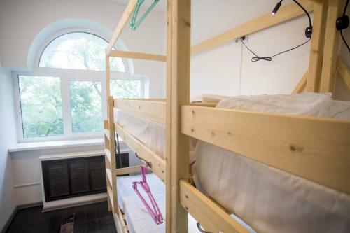 Tiger Hostel