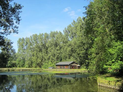 Les Peupliers De La Pecherie