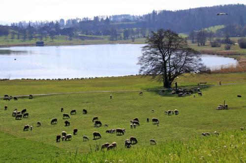 Bed And Breakfast Im R�seligarten