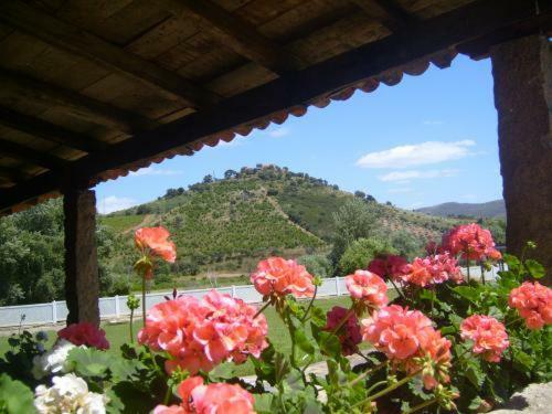 Hostal Quinta Do Barracao Da Vilarica
