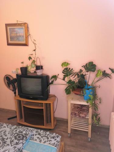 Ivan-house Hostel