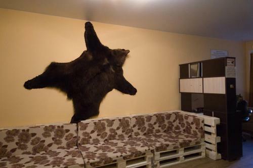 Ivan-house Hostel