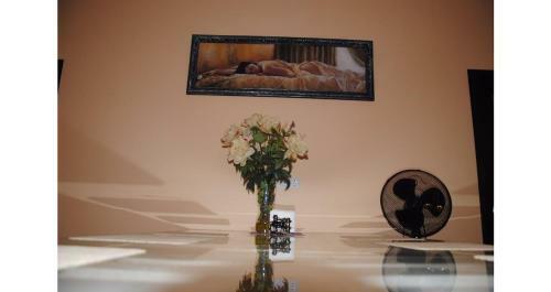 Ivan-house Hostel