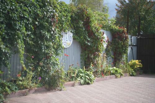 Posada Hotel Dacha