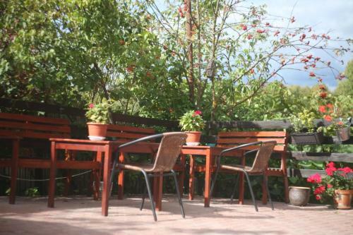 Posada Hotel Dacha