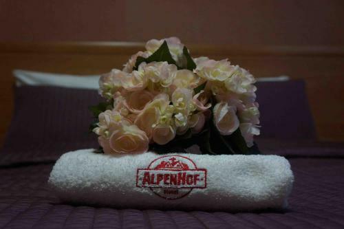 Hotel Alpenhof